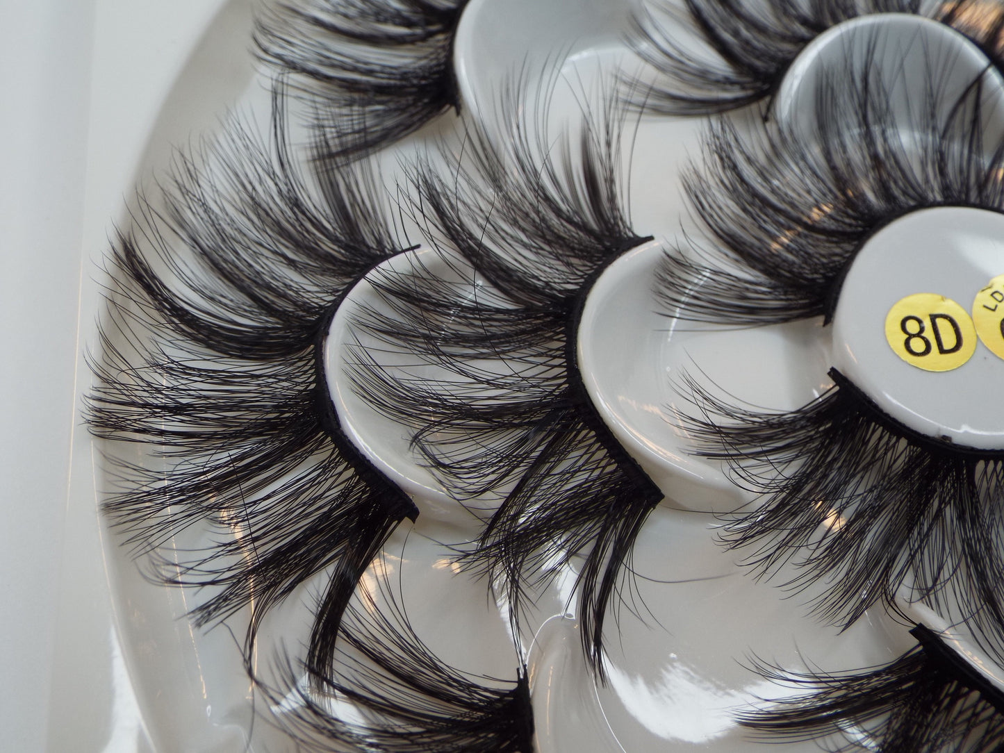 Libro Despertar Lash