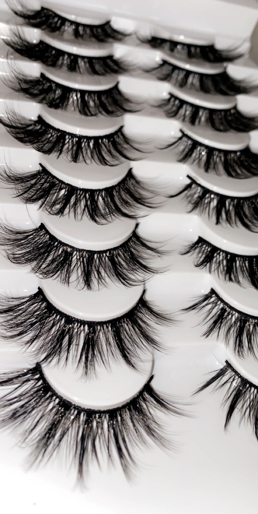 Venus Lash Book